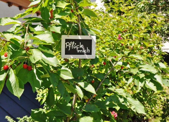 Pfl&uuml;ck mich und iss mich!