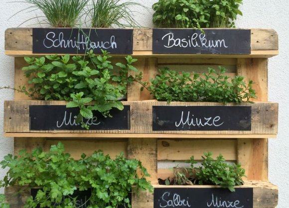 Kleiner Kr&auml;utergarten