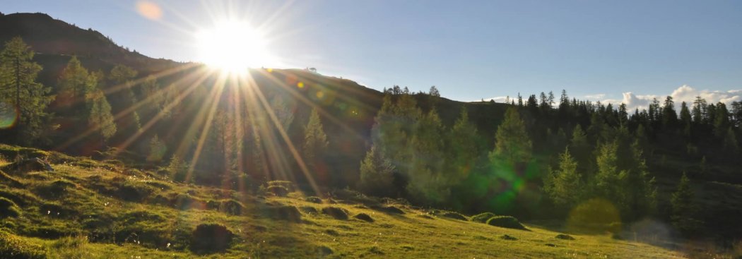 Wanderurlaub im Aktivhotel Alpendorf