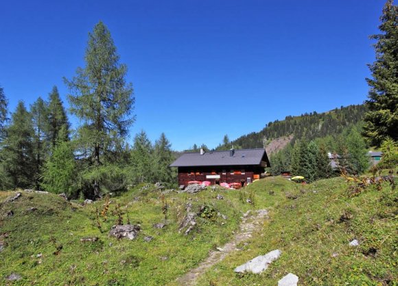 Wanderung zur Filzmoosalm, Loosbühelalm und Weißenalm