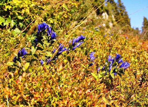 Der Herbst ist die beste Jahreszeit zum Wandern mit traumhafter Weitsicht