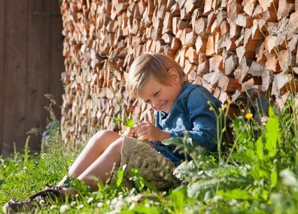 Mountain pasture summer with hikes for the whole family