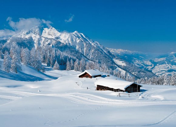 3 km lange Höhenloipe Obergassalm auf 1.600 m